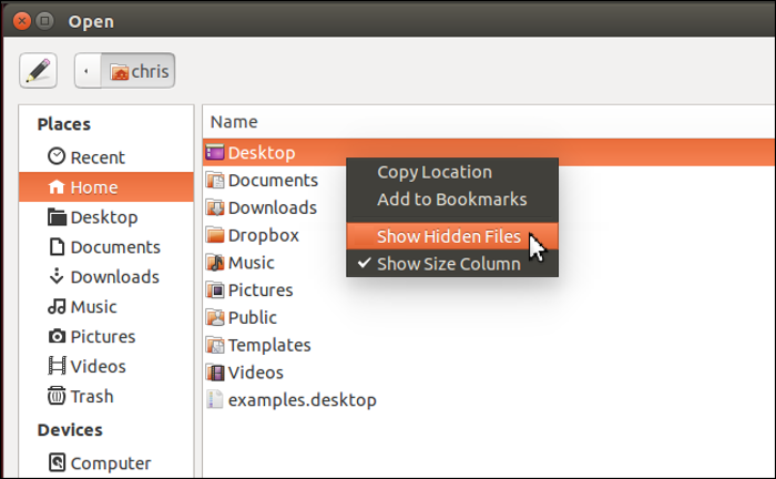 650x401xshow-hidden-files-in-ubuntu-gtk-save-dialog.png.pagespeed.ic.XGiXvgJ43d