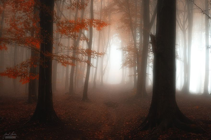 dreamlike-autumn-